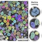 X-ray-tomography-image-of-a-nickel-manganese-cobalt-cathode
