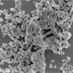 Spherical-Silicon-(Si)-base-Nanopowders-Nanowires