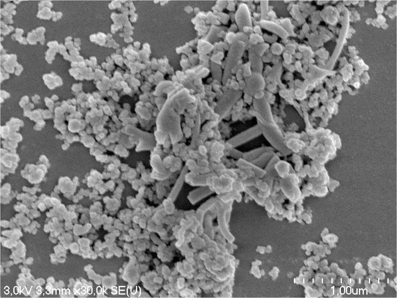 Nanopolveri sferiche di silicio-(Si)-base-nanofili