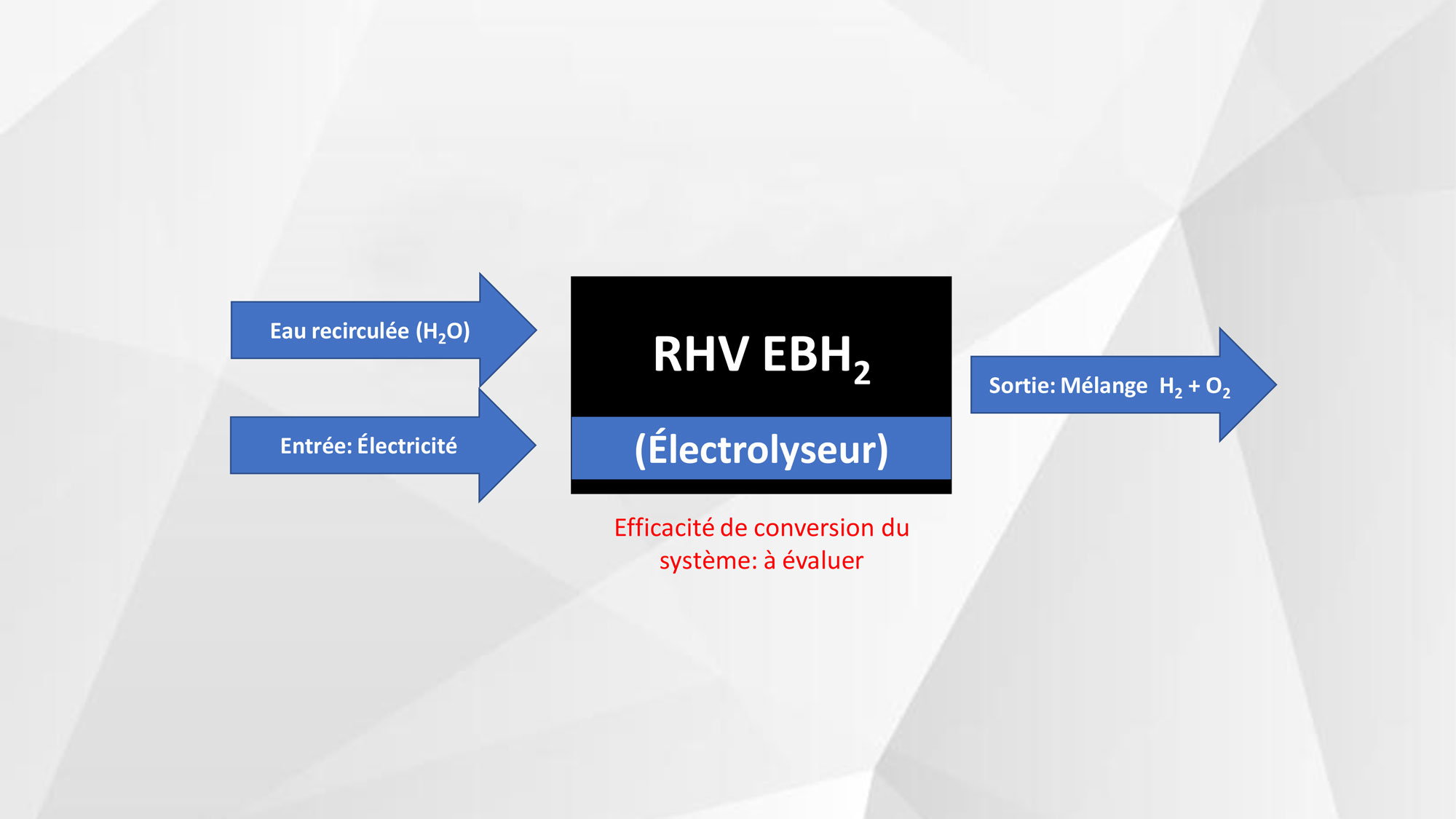 EBH2-French